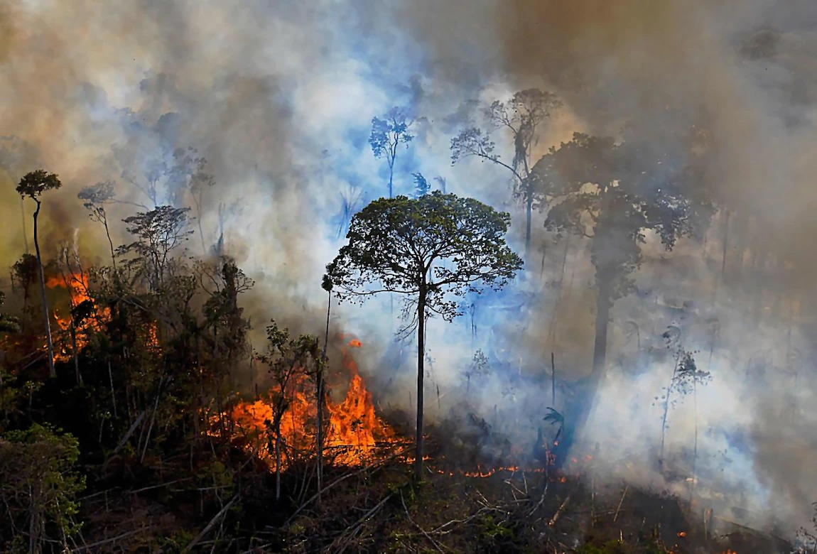 Incendies en Amazonie, dues à la secheresse - climat