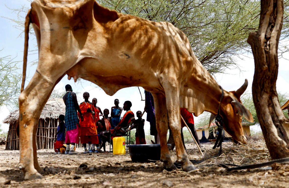le plafond du réchauffement climatique - Le Vivant devient un squelette