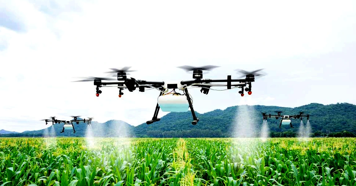 Sols vivants ou dronisation de l'agriculture intensive