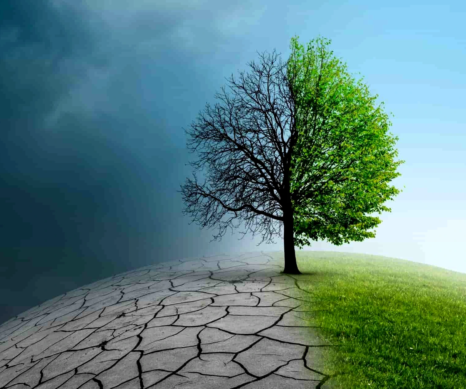 Eau douce - Sous nos yeux, le réchauffement climatique est exponentiel - Les climatosceptiques sont dans le déni intégral