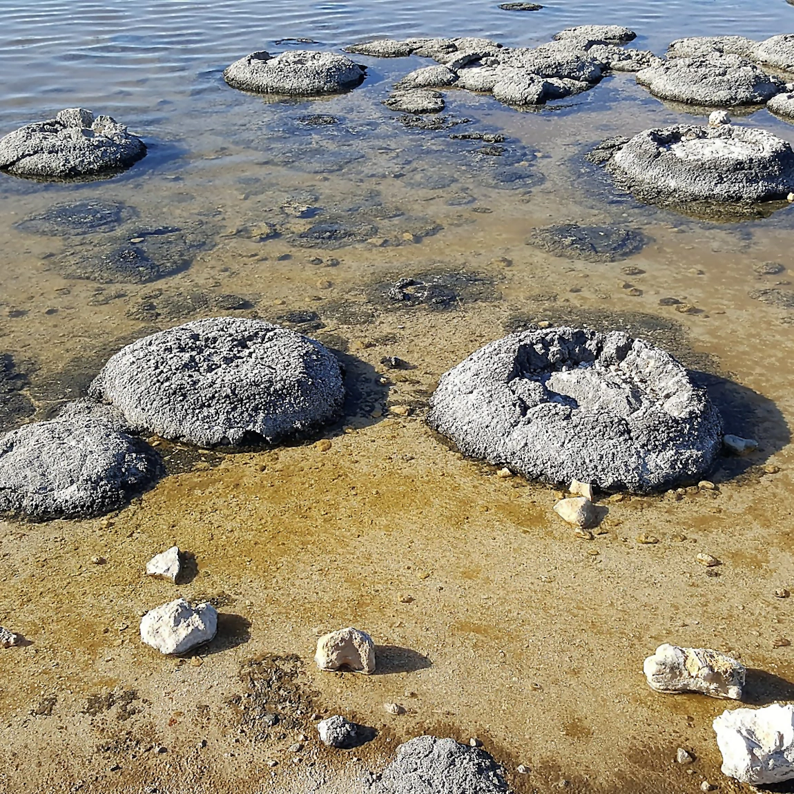 Stromatolites - climat
